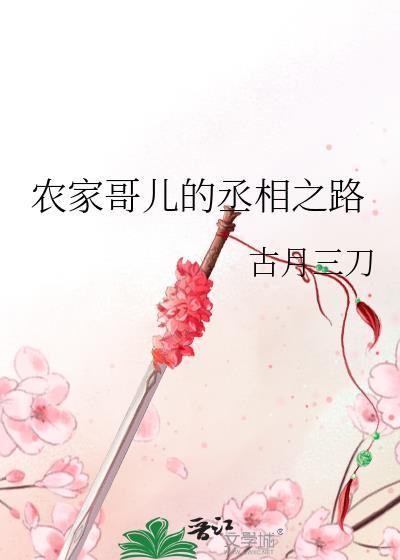 农家哥儿的丞相之路